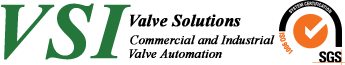 VALVE SOULUTIONS logo