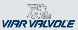 Viar Valvole logo